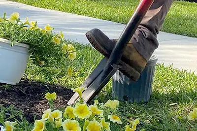 removing soil using a shovel - gardening services naples