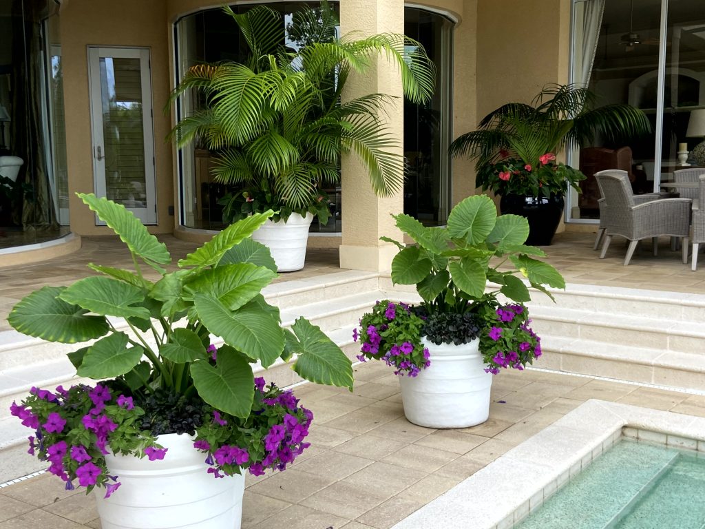 Pool - residential gardening services