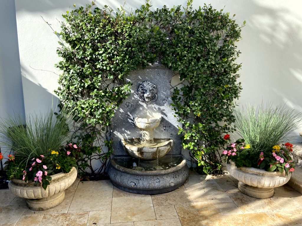 Courtyard - Commercial Gardening Services