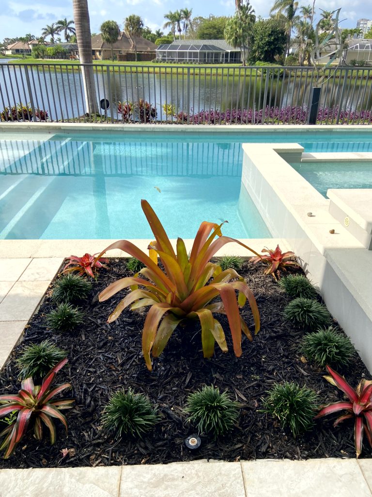 Pool - HOA Gardening Services