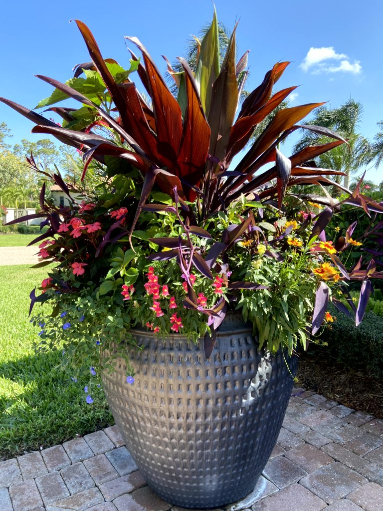 Courtyard - residential gardening services