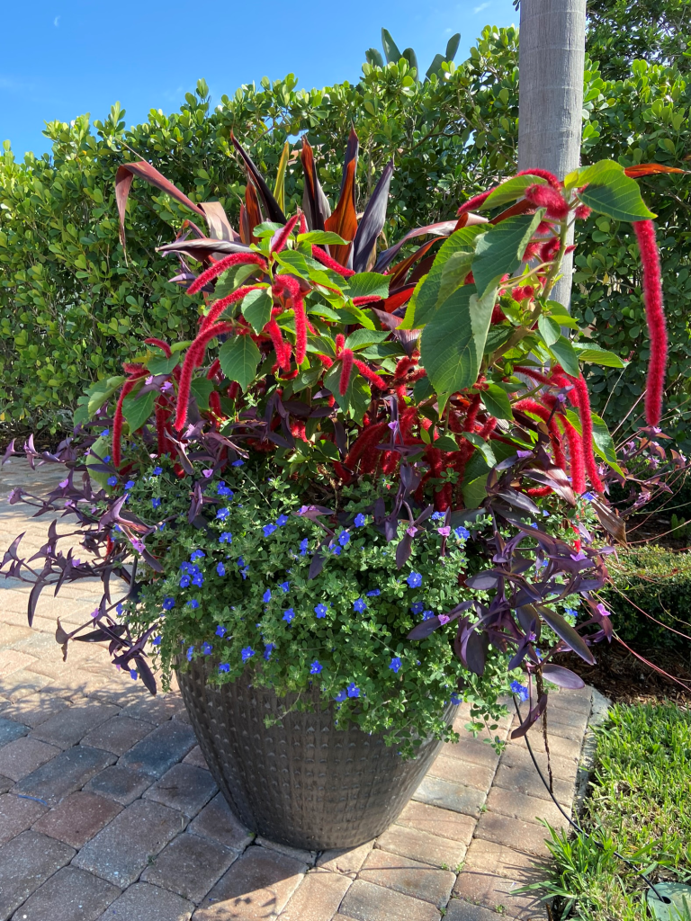 Courtyard - HOA Gardening Services