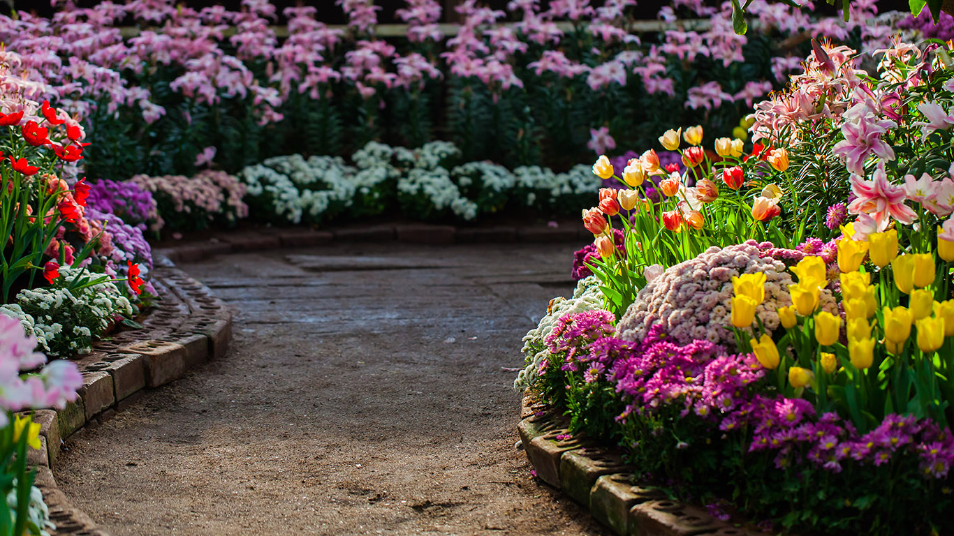 botanical garden