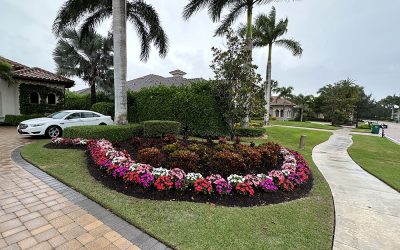 How Can Residential Landscaping Increase the Value of Your Home?