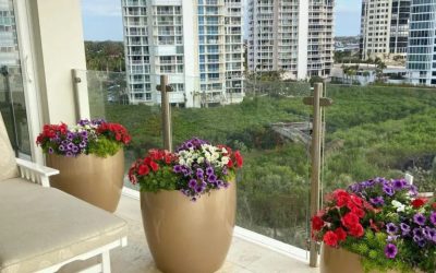 Transforming Condo Living with Customized Container Gardens