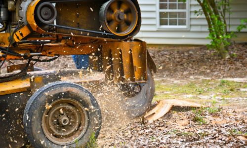 Pool - residential gardening services