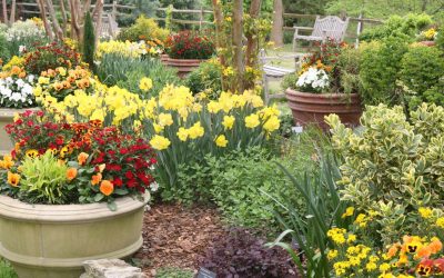 Enhance Your Business Curb Appeal with Custom Container Gardens
