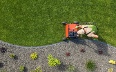 Keep Your Lawn in Perfect Harmony with Blue Tango’s Lawn Maintenance Services
