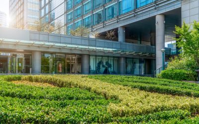 Make Your Office Grounds Pop with Commercial Gardening Services