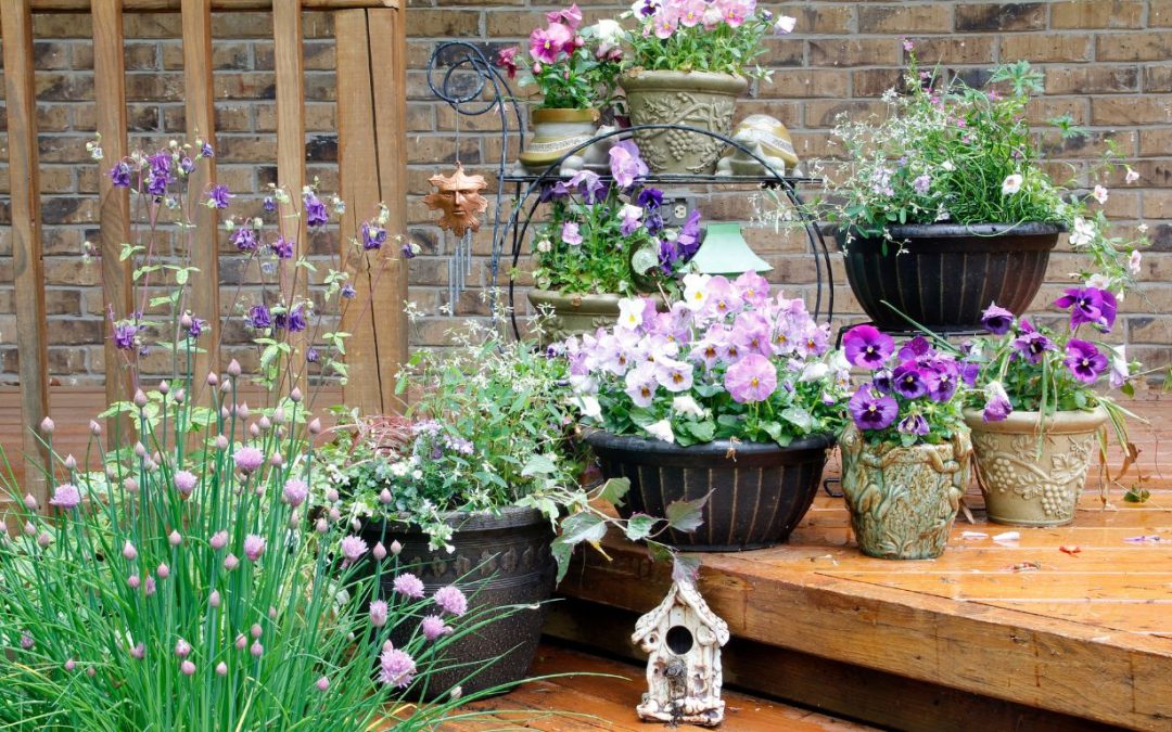 Bring Color to Every Corner with Expert Container Gardening Services