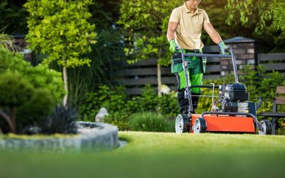 Grow Smiles Not Weeds with Expert Lawn Maintenance Services
