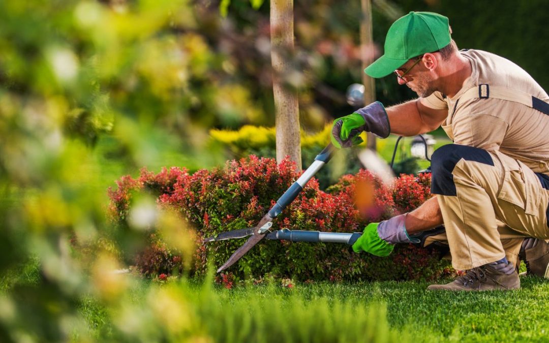 Simple Ways Gardening Services in Naples Can Boost Your Outdoor Joy