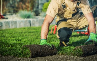How Often to Schedule Landscaping in Naples for a Sharp-Looking Property