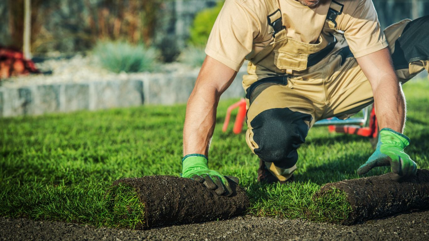 Professional landscaping in naples